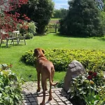 Casa vacanze Askes Oase Guest