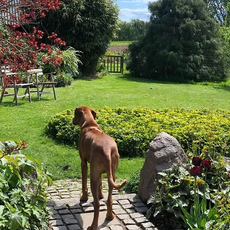 Vakantiehuis Askes Oase Guest
